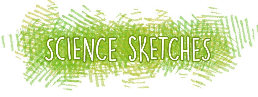 Science conference sketches